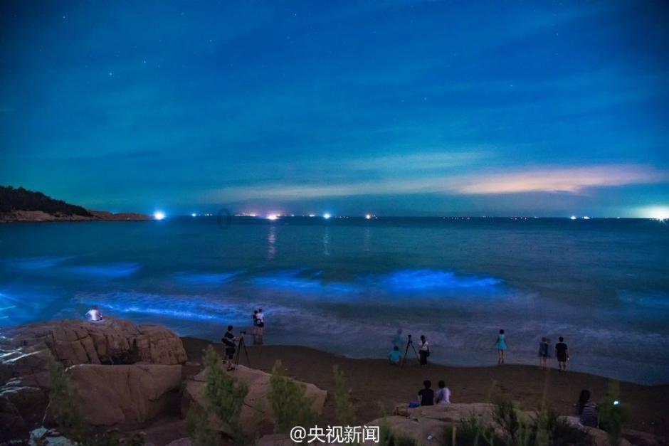 三小只僵尸的游戏时间8