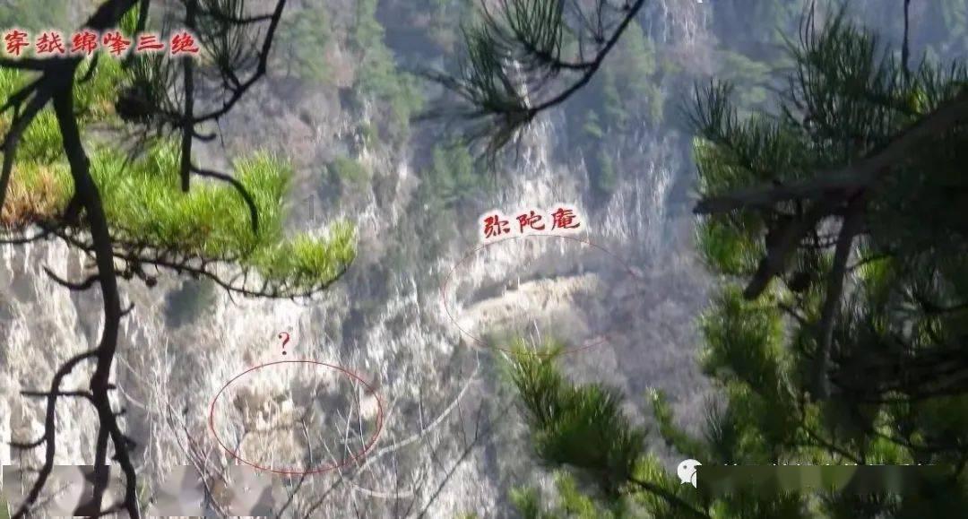 青海门源：一农户三年两次遭遇荒漠猫“入户吃鸡”