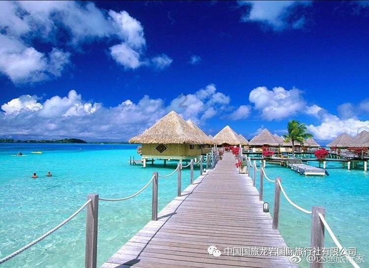 地瓜饼的家常做法游戏画面