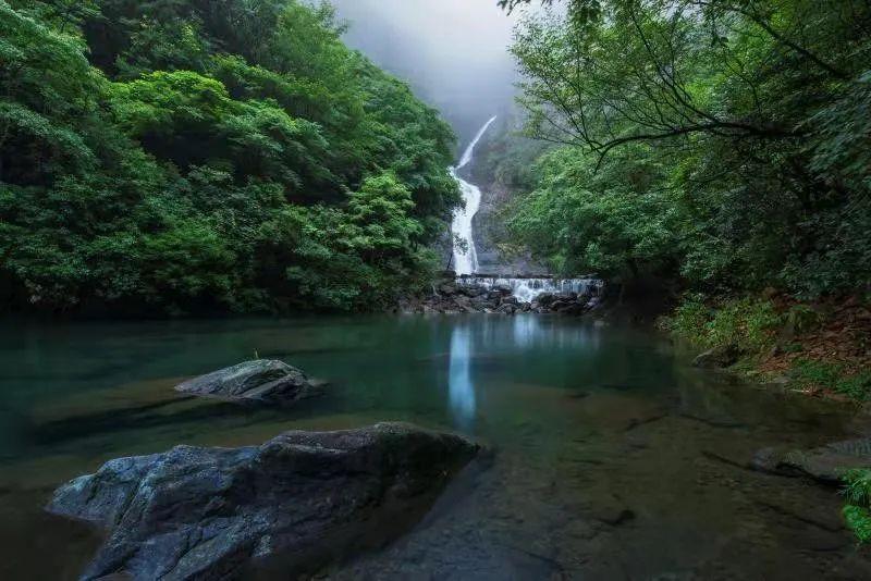 完美世界去年净利预计下滑六成：新游戏较少，在营游戏流水有所回落