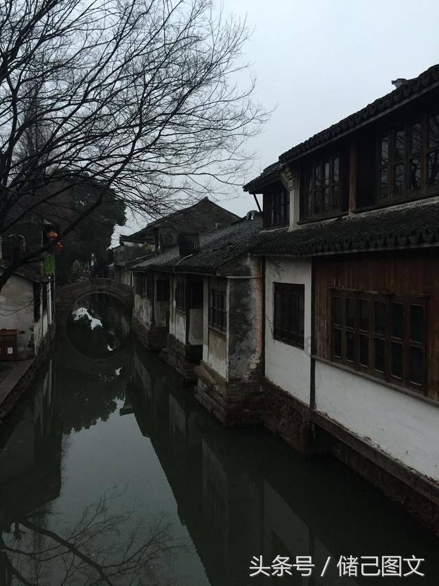 鲈鱼是做汤好还是清蒸葱油好呢？游戏画面